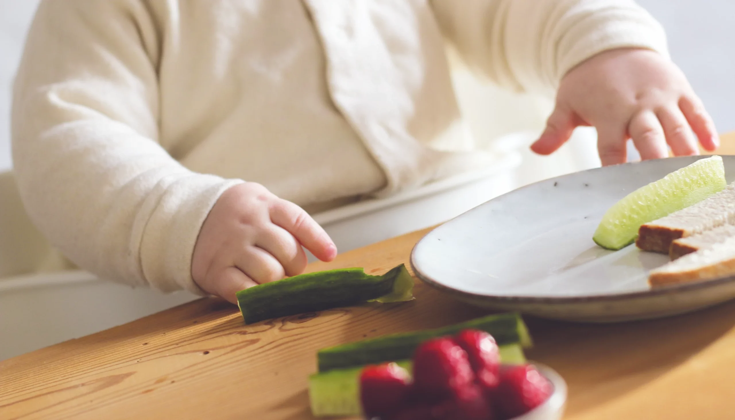 Baby Led Weaning Beikost Beratung